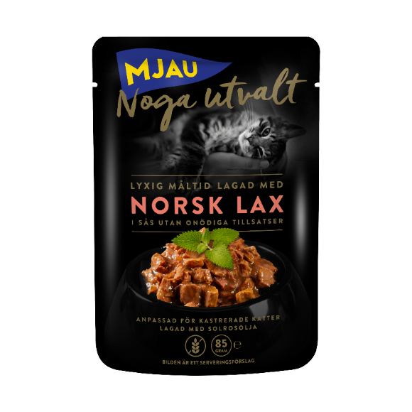 Mjau Noga utvalt norjalainen lohi, paloja kastikkeessa