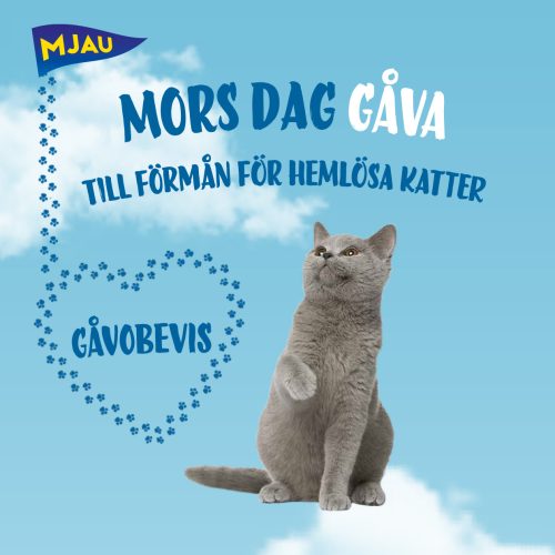 mjau mors dag gåva