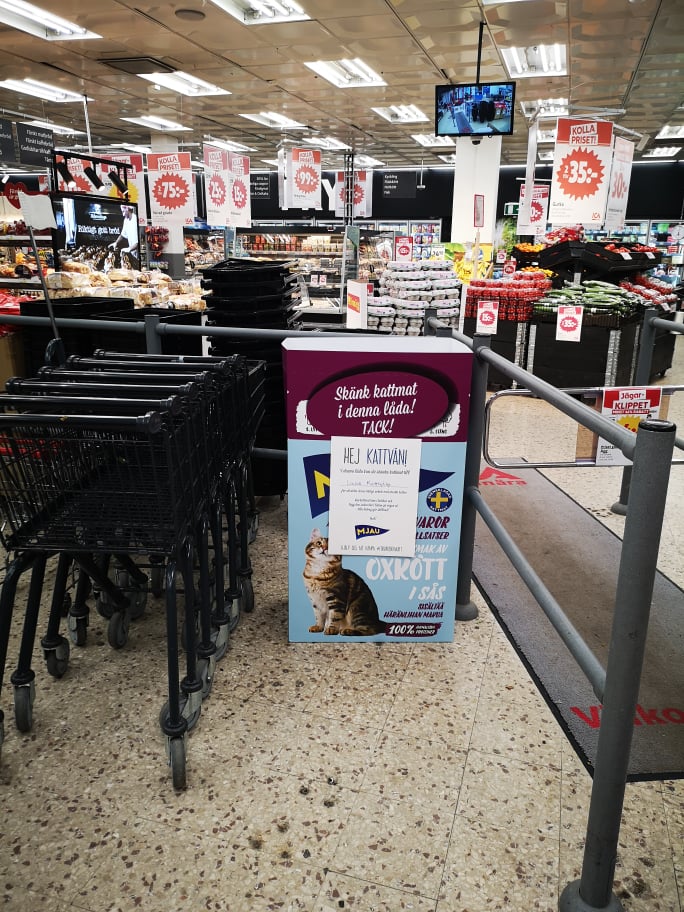 Hemlösa katter