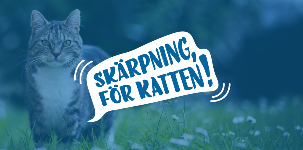 Skärpning för katten